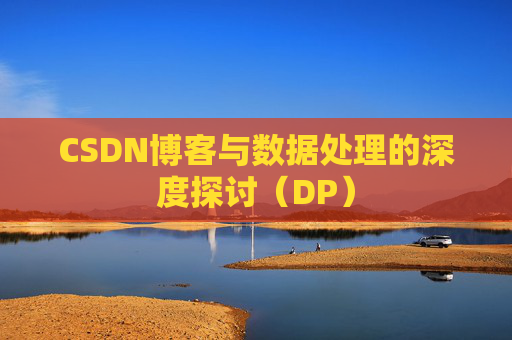 CSDN博客与数据处理的深度探讨（DP）